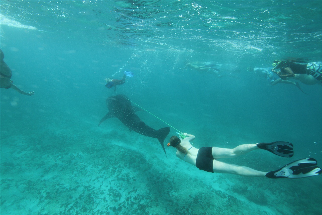 Marine biology homework help
