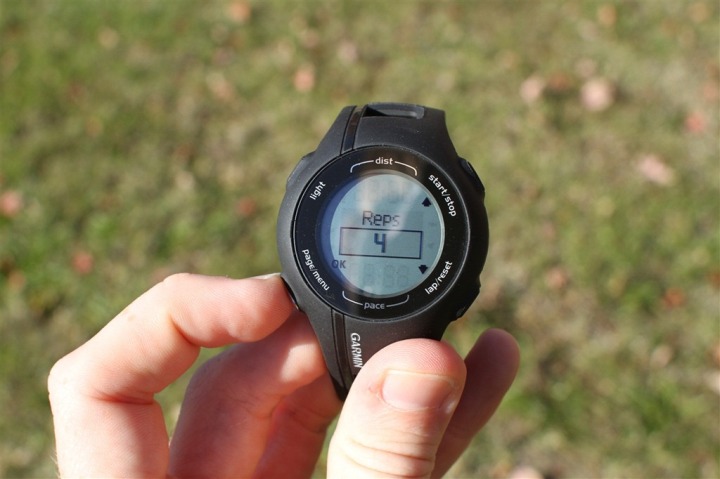 IMG_3367 IMG_3367