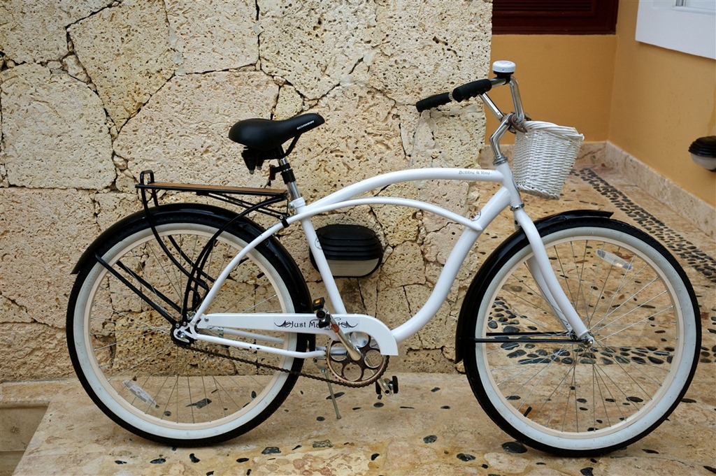 schwinn cruiser target