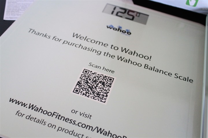 WahooBalance6_thumb.jpg