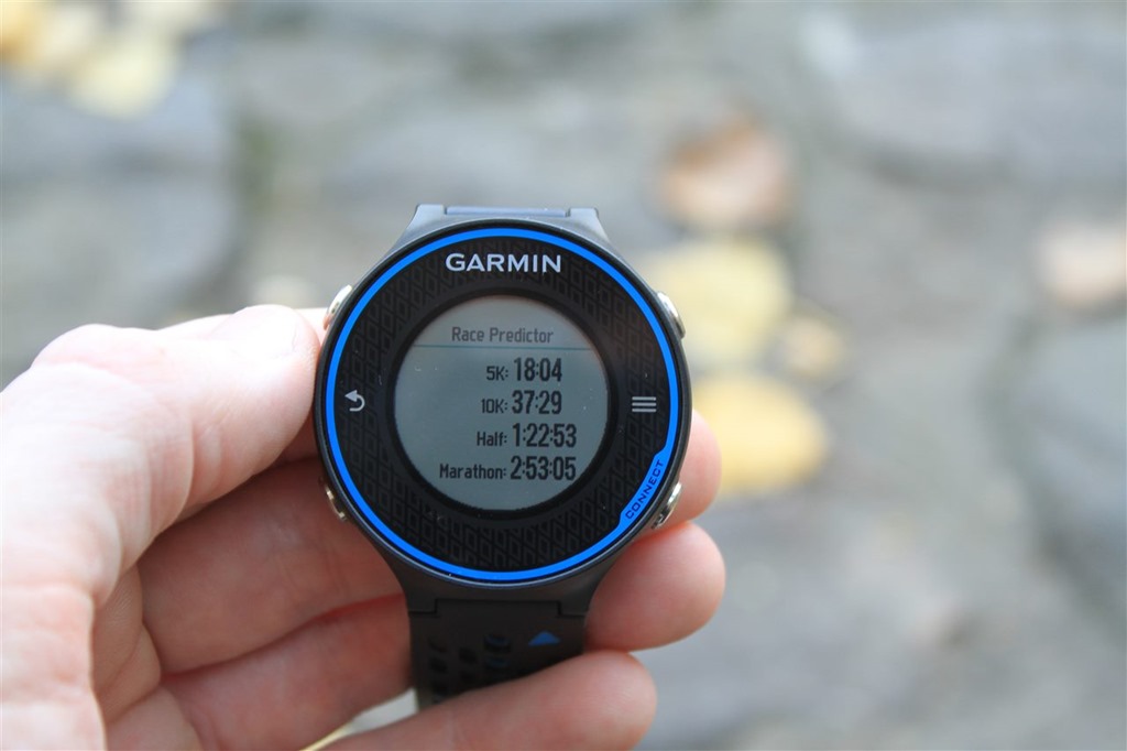 garmin forerunner 2020