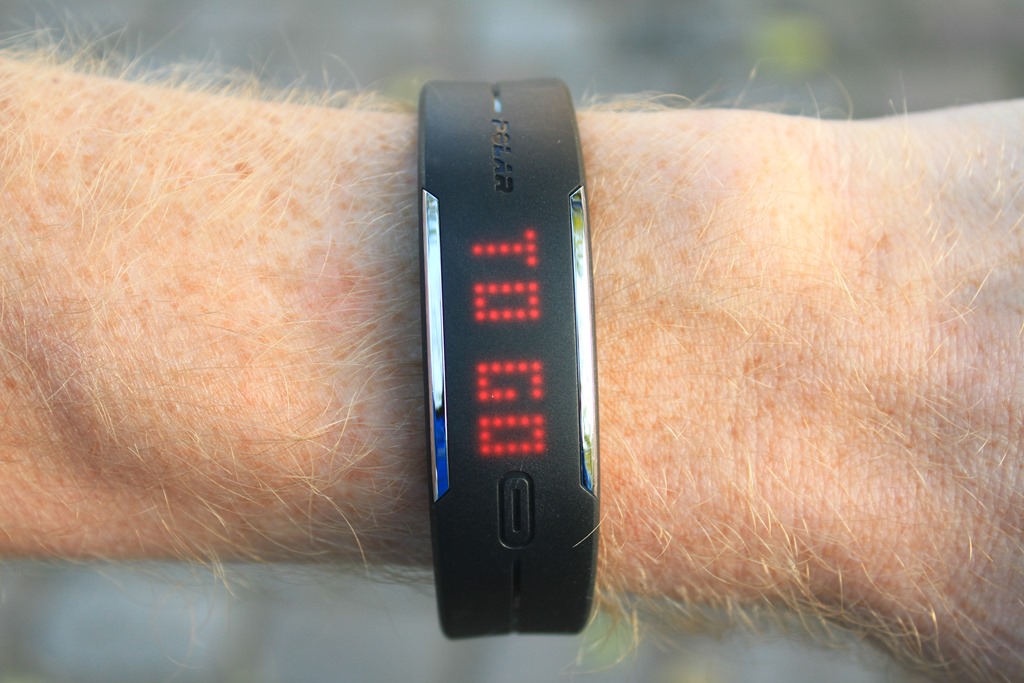 polar loop