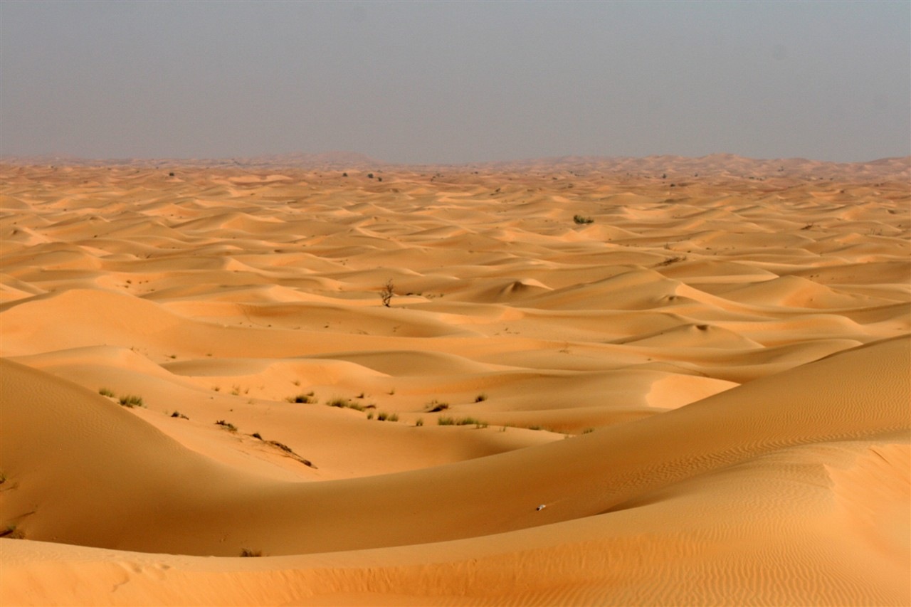 geography coursework sand dunes Many coasts have developed sand dune formations the source of the sand may be ancient offshore deposits or material eroded from local cliffs in order for sand dunes to develop, you need an abundant supply of fine sand, a prevailing onshore wind and then something to trap and retain the sand. geography coursework sand dunes Many coasts have developed sand dune formations the source of the sand may be ancient offshore deposits or material eroded from local cliffs in order for sand dunes to develop, you need an abundant supply of fine sand, a prevailing onshore wind and then something to trap and retain the sand.