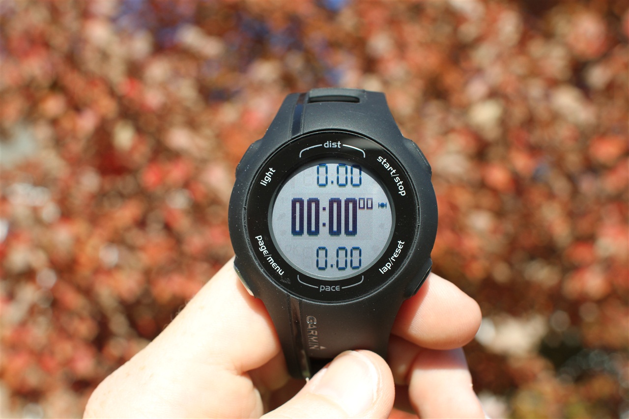 garmin forerunner 210 bracelet