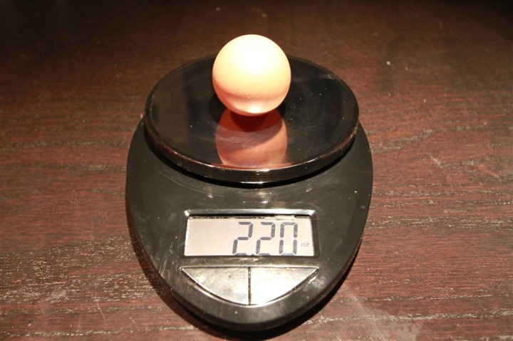 IMG_2332 IMG_2332