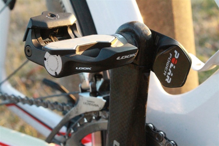 polar equine v800