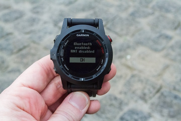 garmin fenix apple health