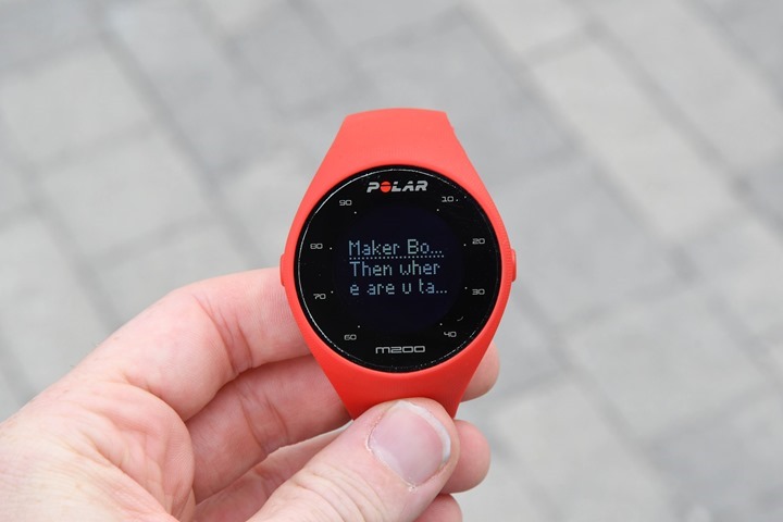 polar electro m200