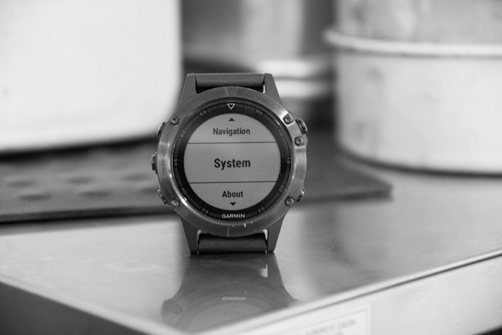 Garmin-Fenix5-Bugs