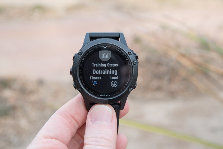 Garmin-Fenix5-TrainingData1