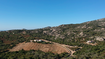 vlcsnap-2017-06-26-23h48m04s685