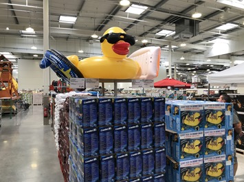 2017-07-07 15.28.16-1