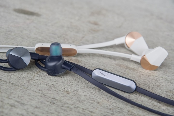 Fitbit-Flyer-Model-Variants