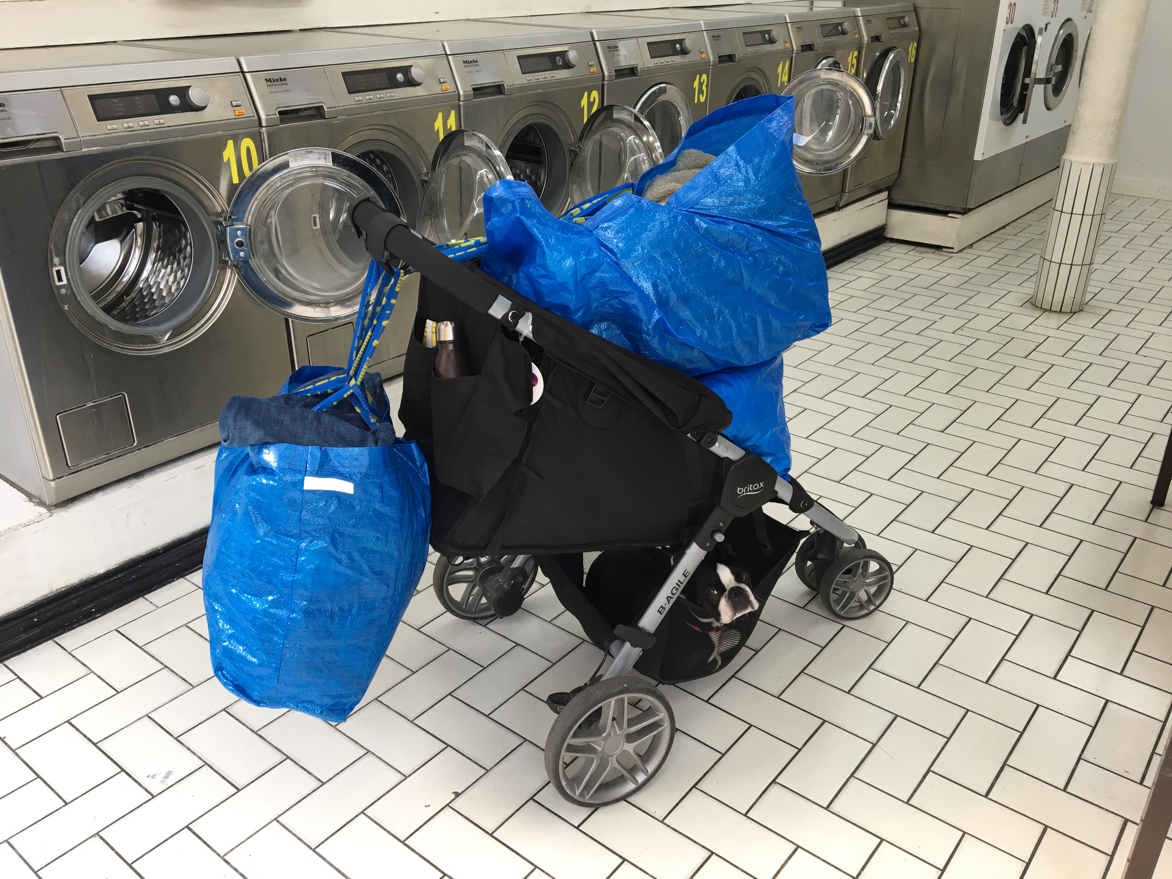 Laundry Day