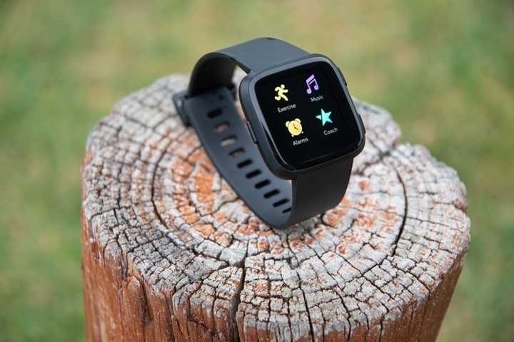 Fitbit-Versa-Overview-On-A-Log Fitbit-Versa-Overview-On-A-Log
