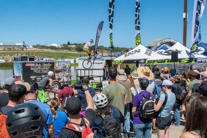 Sea Otter 2018