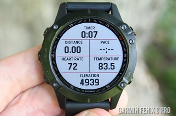 fenix 6 weight