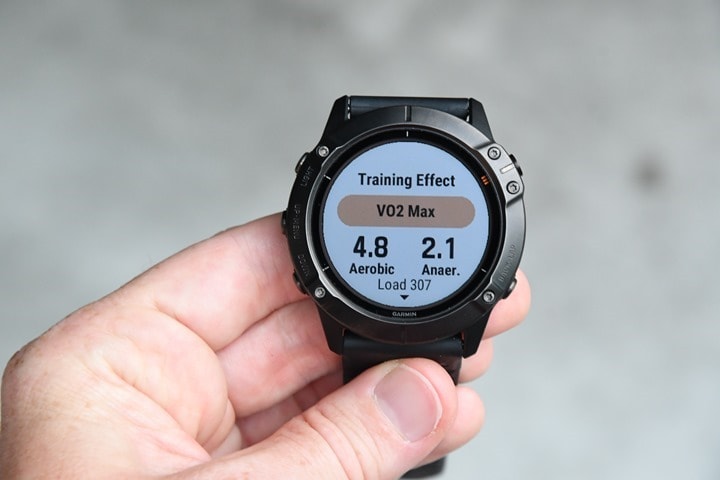 fenix 6 weight