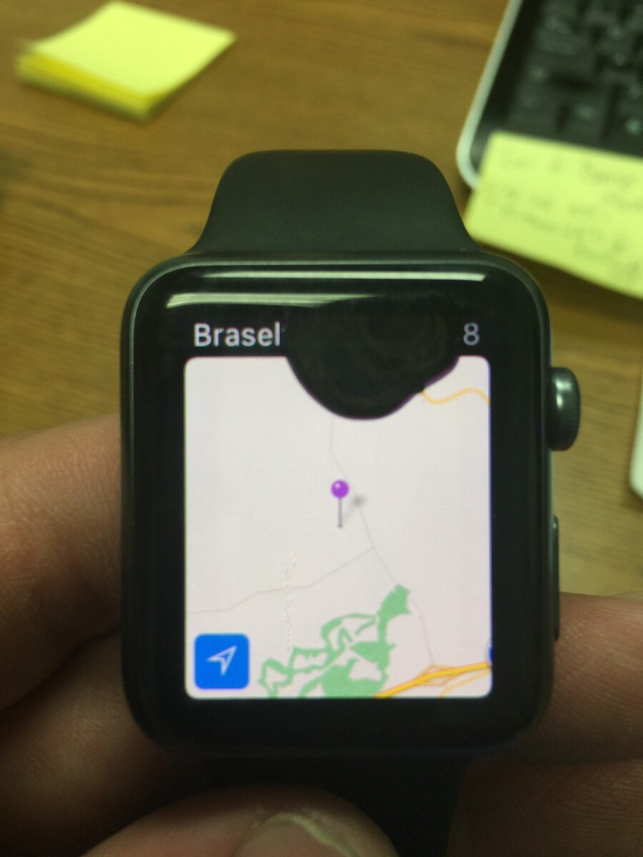 apple watch series 4 water damage